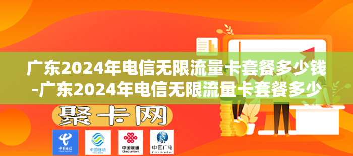 广东2024年电信无限流量卡套餐多少钱-广东2024年电信无限流量卡套餐多少钱一个月