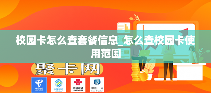 校园卡怎么查套餐信息_怎么查校园卡使用范围