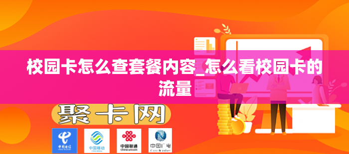 校园卡怎么查套餐内容_怎么看校园卡的流量
