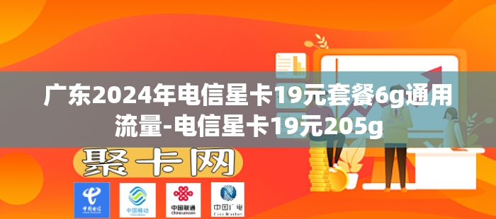 广东2024年电信星卡19元套餐6g通用流量-电信星卡19元205g