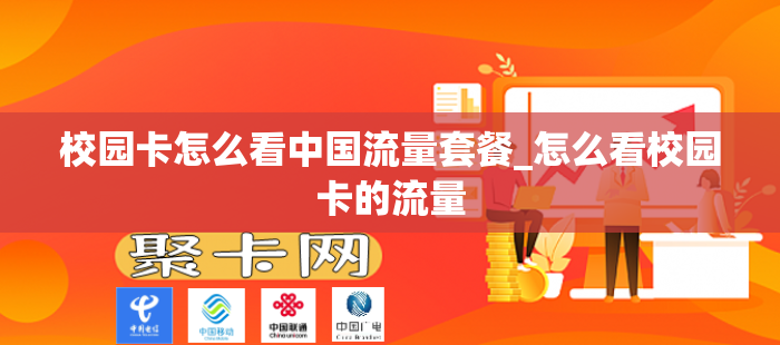 校园卡怎么看中国流量套餐_怎么看校园卡的流量