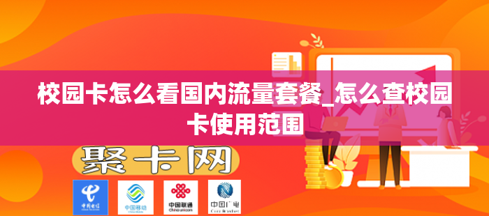 校园卡怎么看国内流量套餐_怎么查校园卡使用范围
