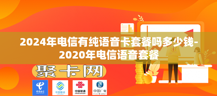 2024年电信有纯语音卡套餐吗多少钱-2020年电信语音套餐