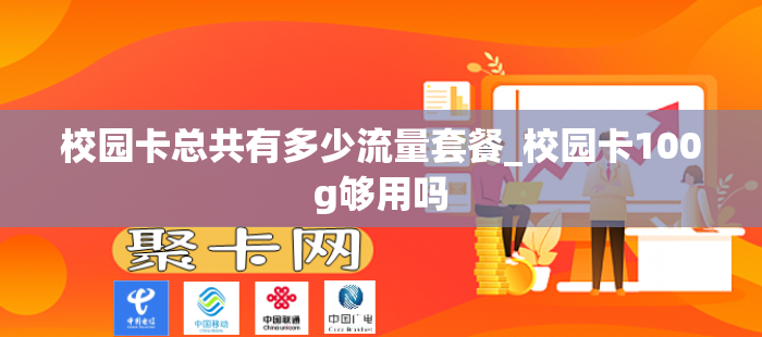 校园卡总共有多少流量套餐_校园卡100g够用吗