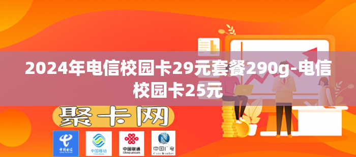 2024年电信校园卡29元套餐290g-电信校园卡25元