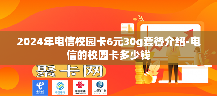 2024年电信校园卡6元30g套餐介绍-电信的校园卡多少钱