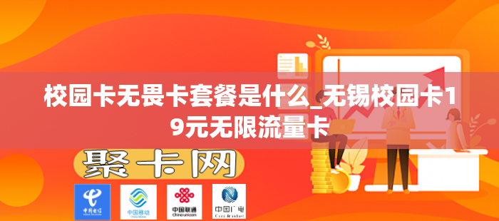 校园卡无畏卡套餐是什么_无锡校园卡19元无限流量卡