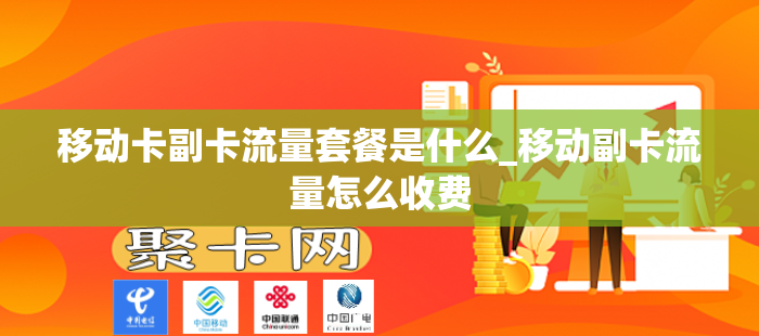 移动卡副卡流量套餐是什么_移动副卡流量怎么收费