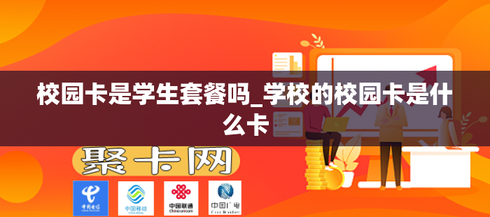 校园卡是学生套餐吗_学校的校园卡是什么卡