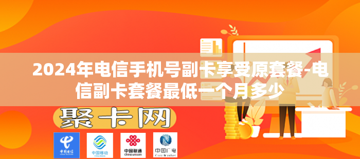 2024年电信手机号副卡享受原套餐-电信副卡套餐最低一个月多少
