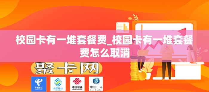 校园卡有一堆套餐费_校园卡有一堆套餐费怎么取消