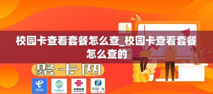校园卡查看套餐怎么查_校园卡查看套餐怎么查的