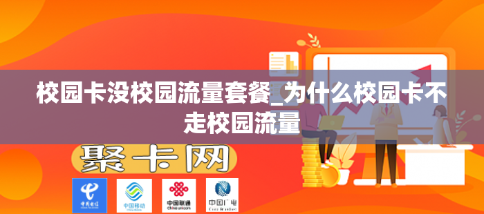 校园卡没校园流量套餐_为什么校园卡不走校园流量