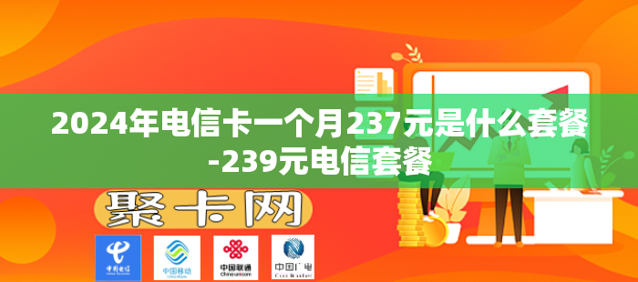2024年电信卡一个月237元是什么套餐-239元电信套餐