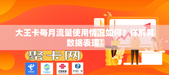 大王卡每月流量使用情况如何？详解其数据表现！
