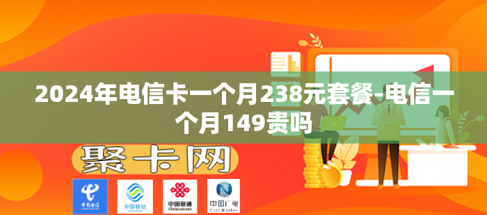 2024年电信卡一个月238元套餐-电信一个月149贵吗