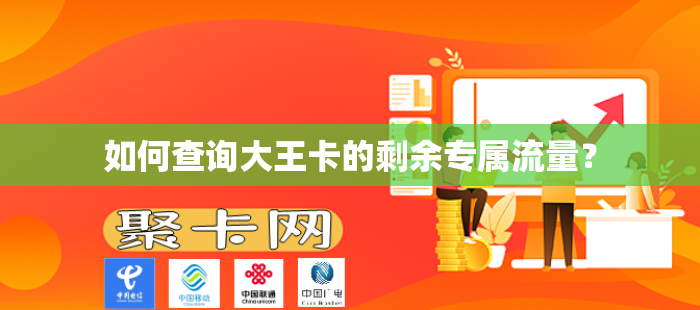 如何查询大王卡的剩余专属流量？-第1张图片-聚卡网 