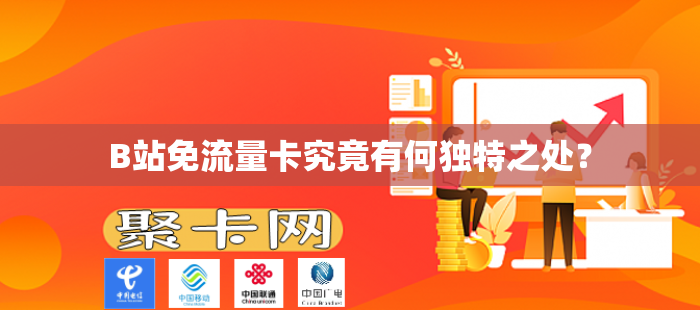 B站免流量卡究竟有何独特之处？