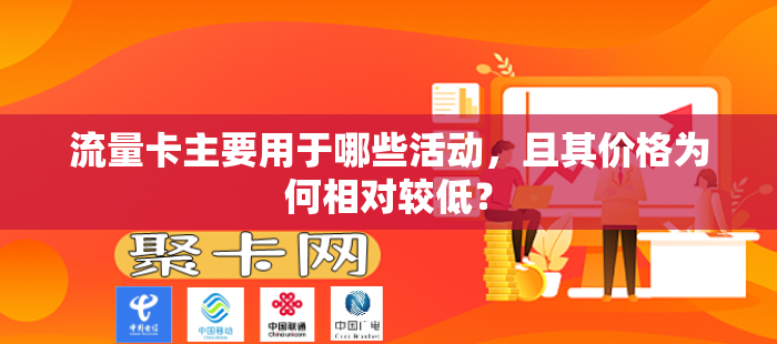 流量卡主要用于哪些活动，且其价格为何相对较低？