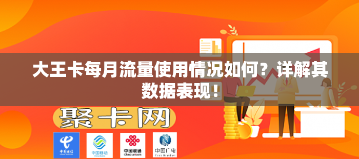 大王卡每月流量使用情况如何？详解其数据表现！