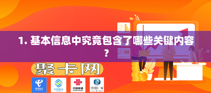 1. 基本信息中究竟包含了哪些关键内容？