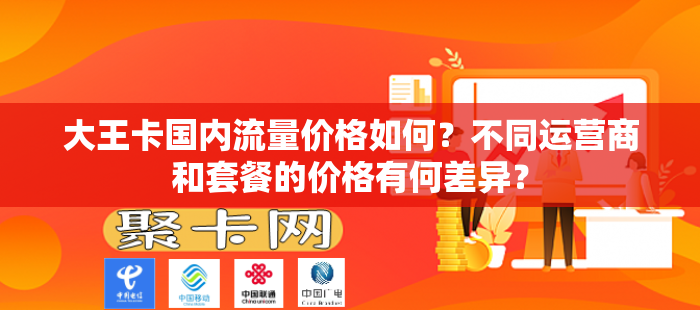 大王卡国内流量价格如何？不同运营商和套餐的价格有何差异？-第1张图片-聚卡网 