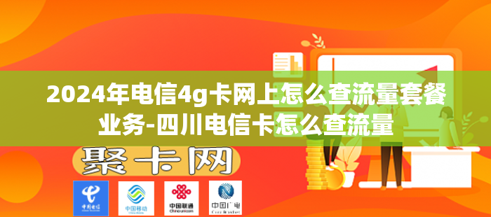 2024年电信4g卡网上怎么查流量套餐业务-四川电信卡怎么查流量