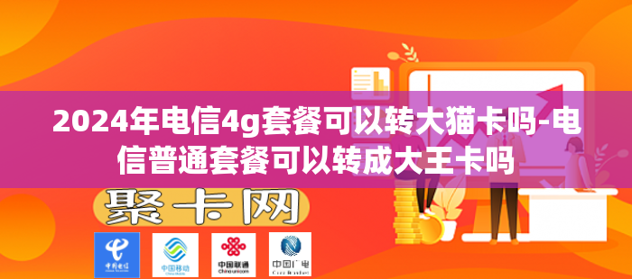2024年电信4g套餐可以转大猫卡吗-电信普通套餐可以转成大王卡吗-第1张图片-聚卡网 