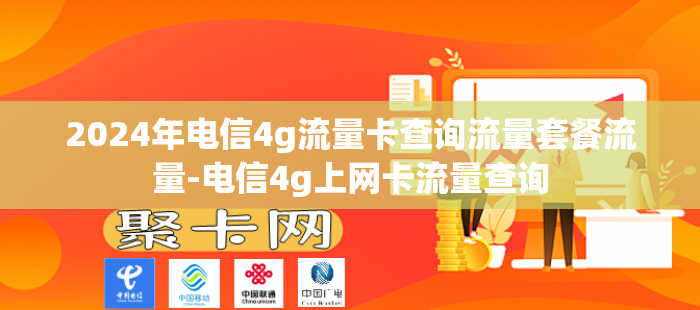 2024年电信4g流量卡查询流量套餐流量-电信4g上网卡流量查询