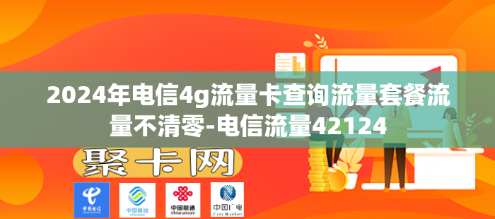 2024年电信4g流量卡查询流量套餐流量不清零-电信流量42124
