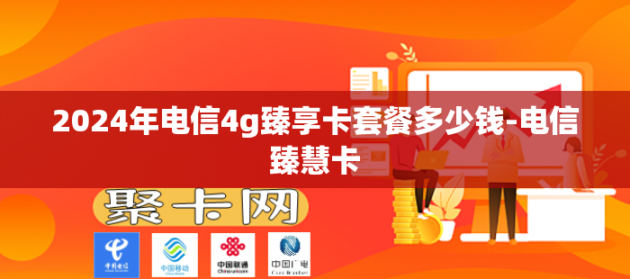2024年电信4g臻享卡套餐多少钱-电信臻慧卡
