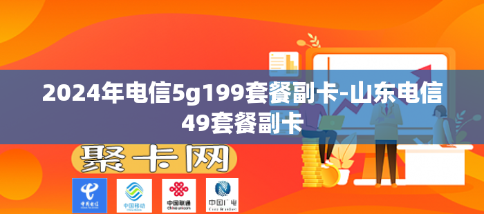 2024年电信5g199套餐副卡-山东电信49套餐副卡
