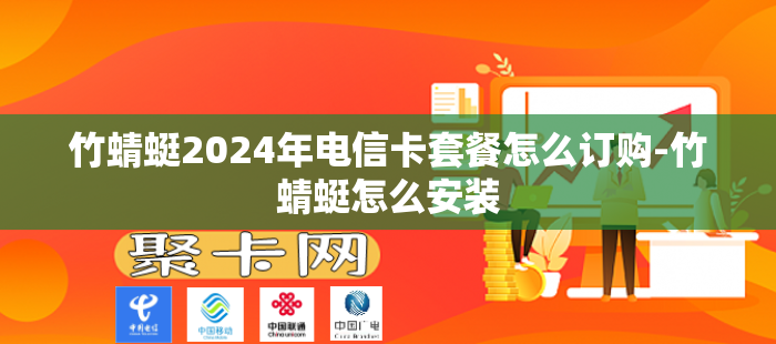 竹蜻蜓2024年电信卡套餐怎么订购-竹蜻蜓怎么安装