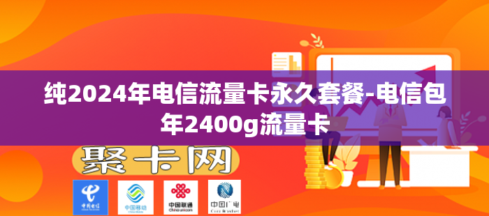 纯2024年电信流量卡永久套餐-电信包年2400g流量卡