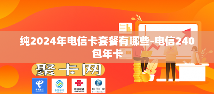 纯2024年电信卡套餐有哪些-电信240包年卡