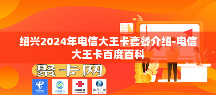 绍兴2024年电信大王卡套餐介绍-电信大王卡百度百科
