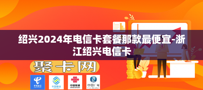 绍兴2024年电信卡套餐那款最便宜-浙江绍兴电信卡