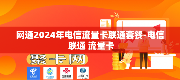 网通2024年电信流量卡联通套餐-电信 联通 流量卡