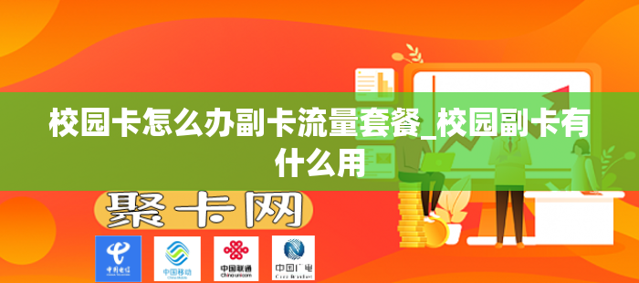校园卡怎么办副卡流量套餐_校园副卡有什么用