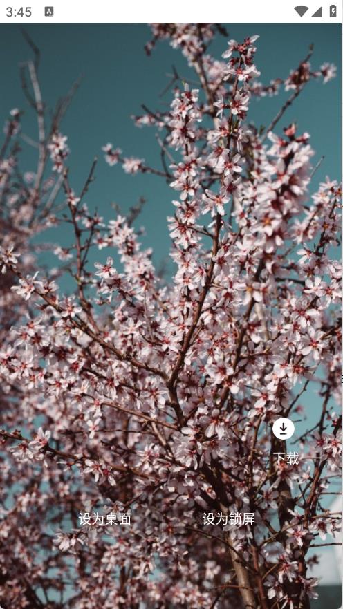 小樱看看截图0