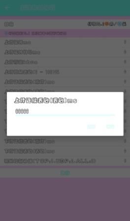 轩羽弱网