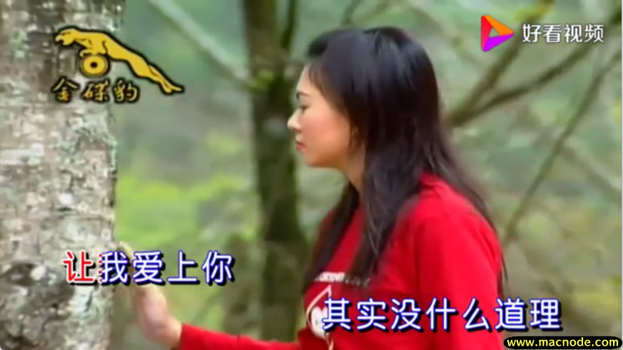 马里奥TV