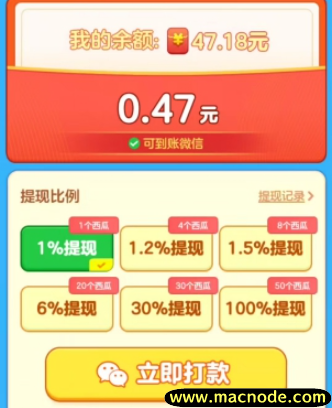 西瓜乐园