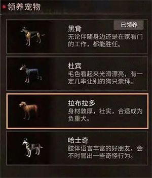 明日之后
