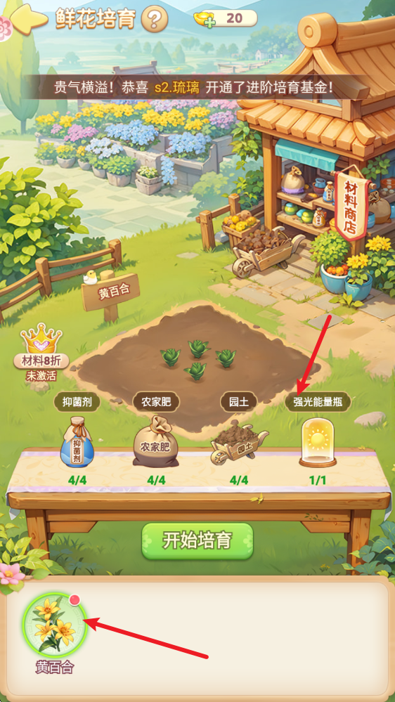 我的花园世界