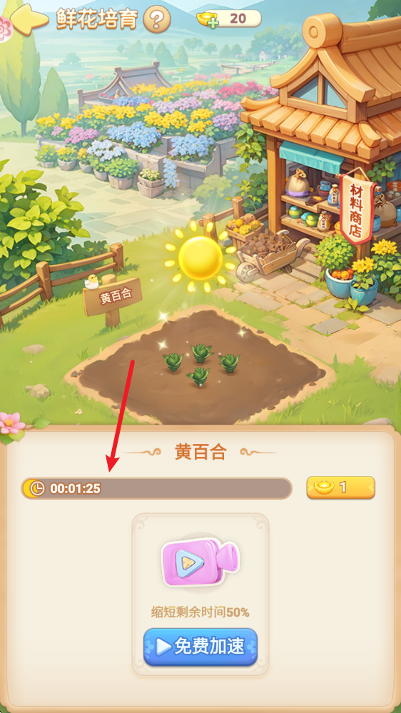我的花园世界