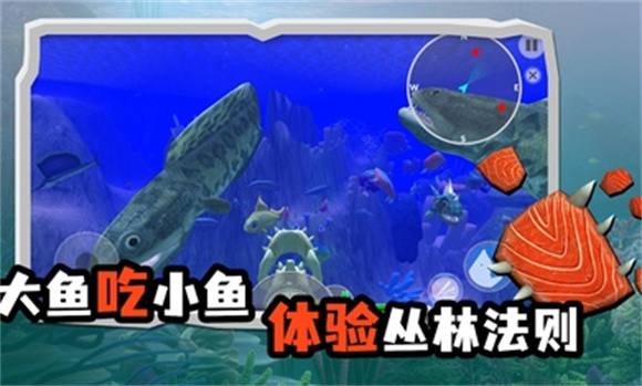 海底大猎杀截图0