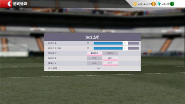 胜利足球2