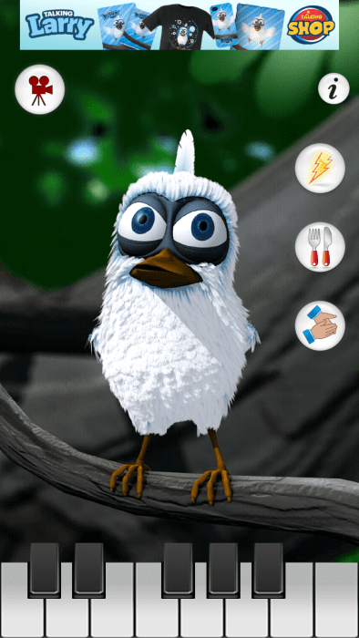 会说话的拉里鸟 会说话的拉里鸟