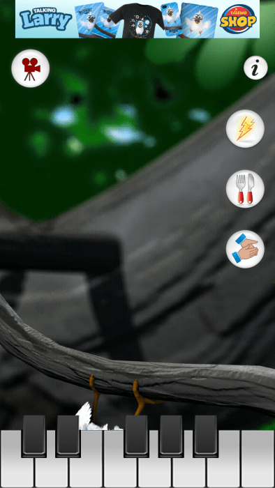 会说话的拉里鸟 会说话的拉里鸟